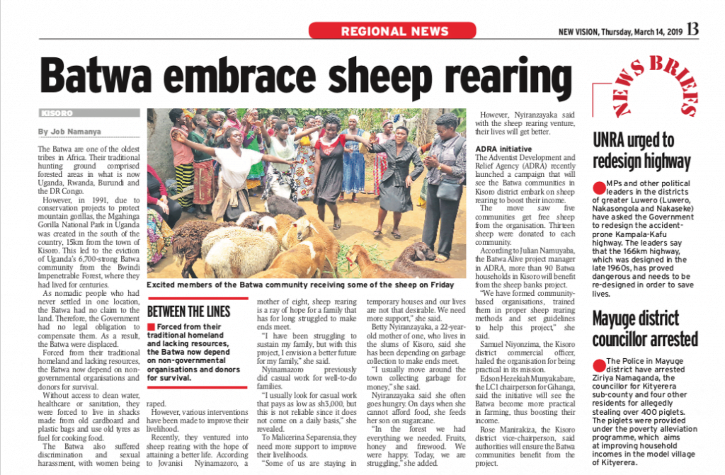 Batwa embrace sheep rearing