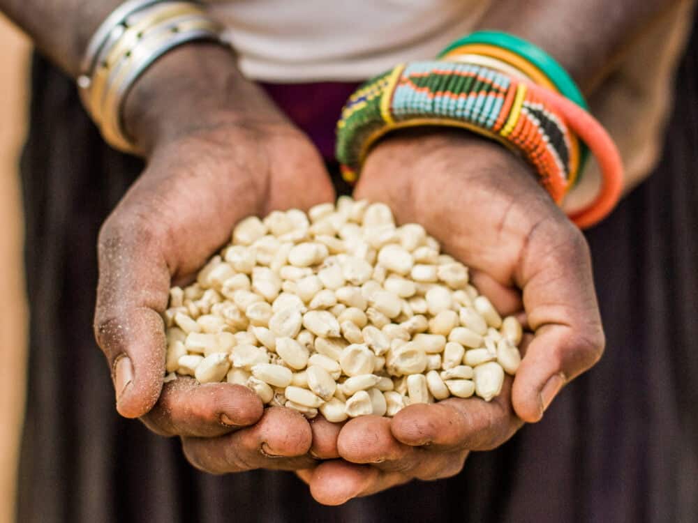 Kenia, Hände mit Saatgut