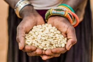 Kenia, Hände mit Saatgut