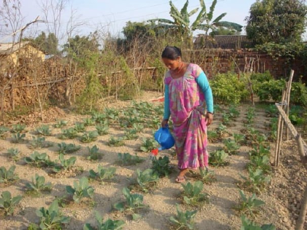 Nepal Hilfe für Kleinbauern nach Erdbeben