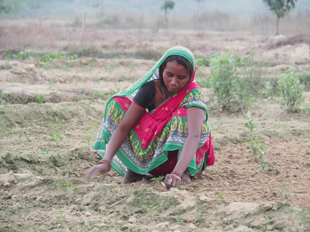 Nepal Klimawandel Trotzen go green