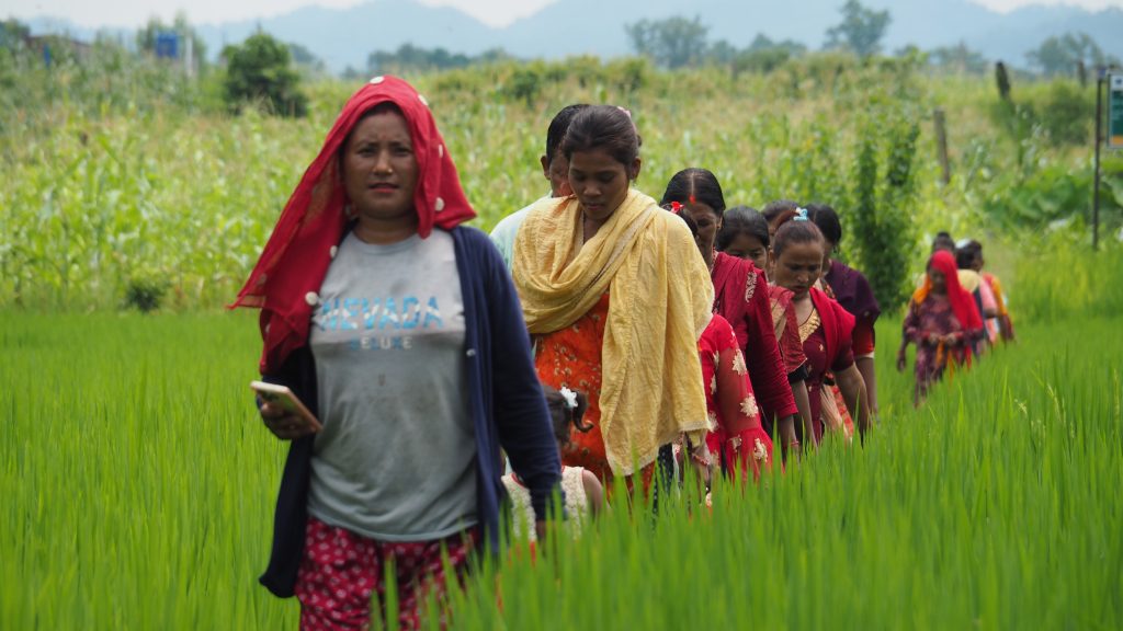 Frauen Nepal