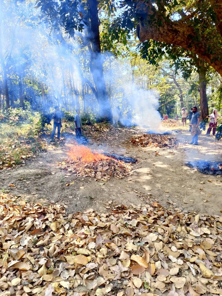 Bekämpfung von Feuer in Nepals Wäldern