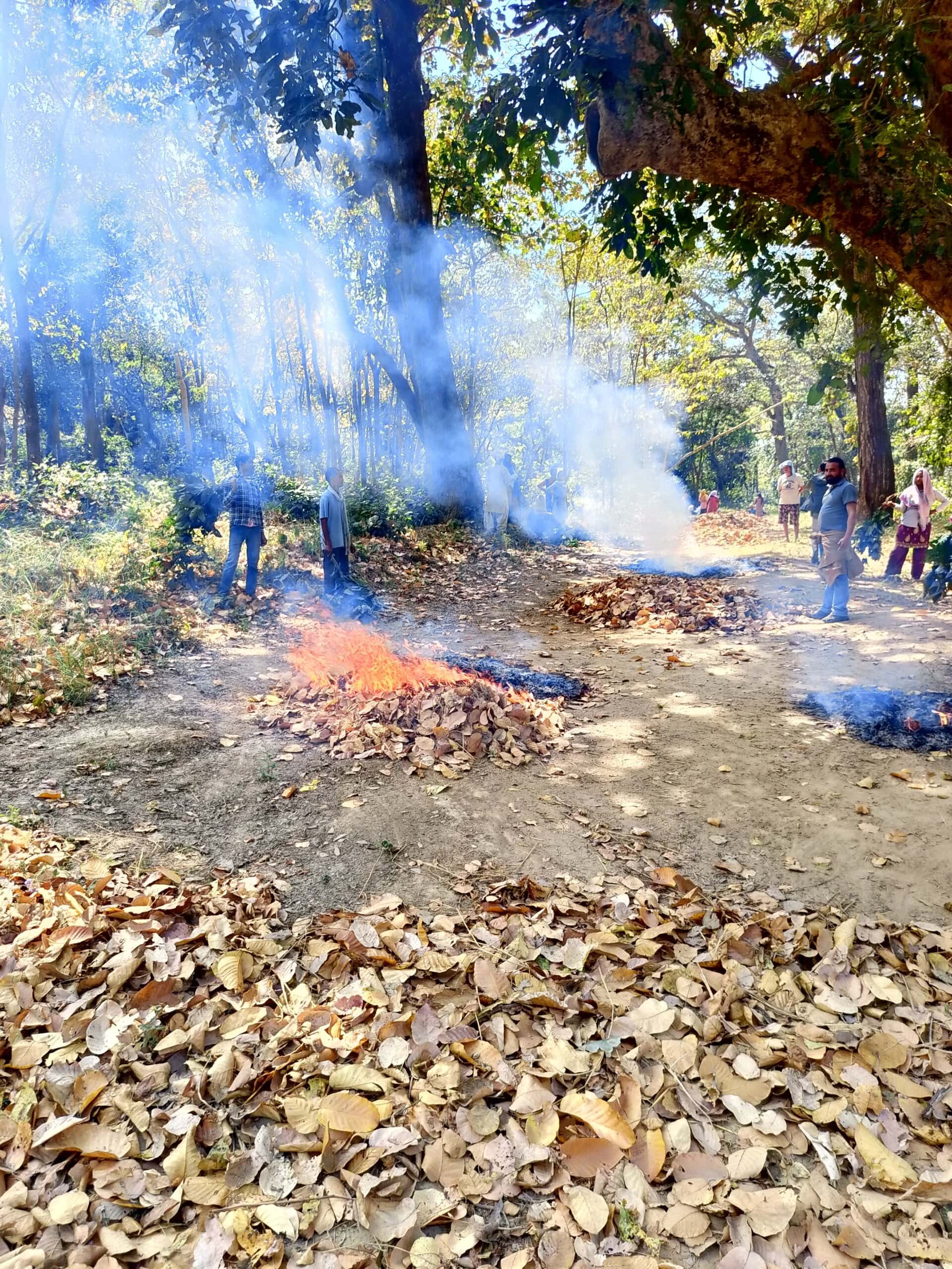 Bekämpfung von Feuer in Nepals Wäldern